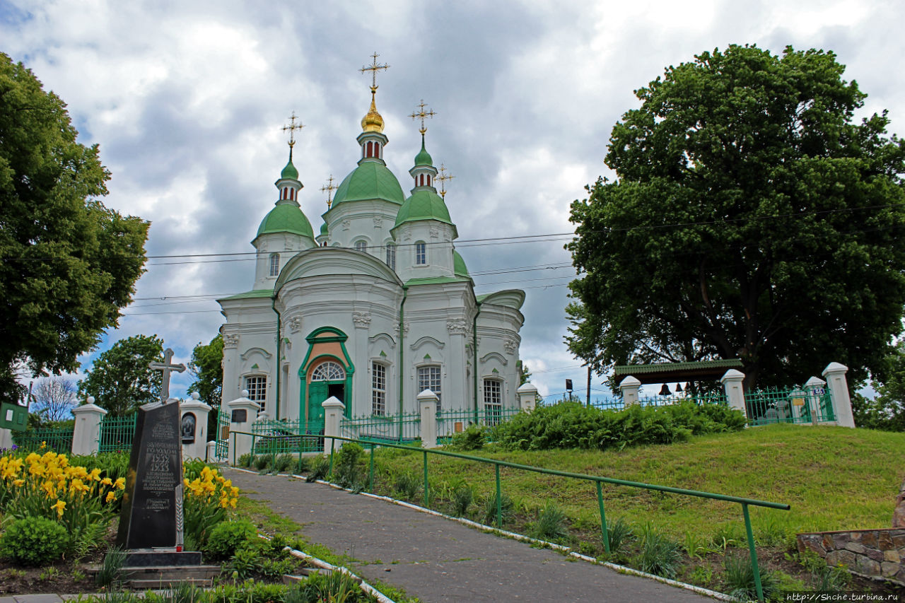 Васильківський район